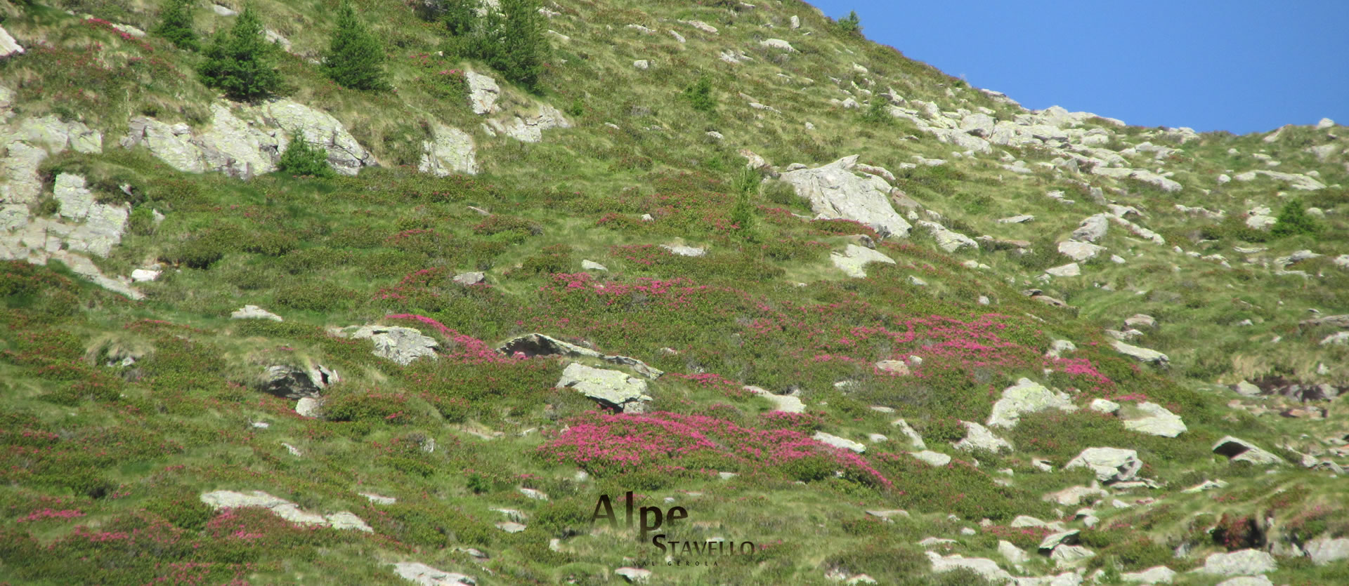 rifugio Alpe Stavello - Azienda agricola Alpe Stavello - Rifugio