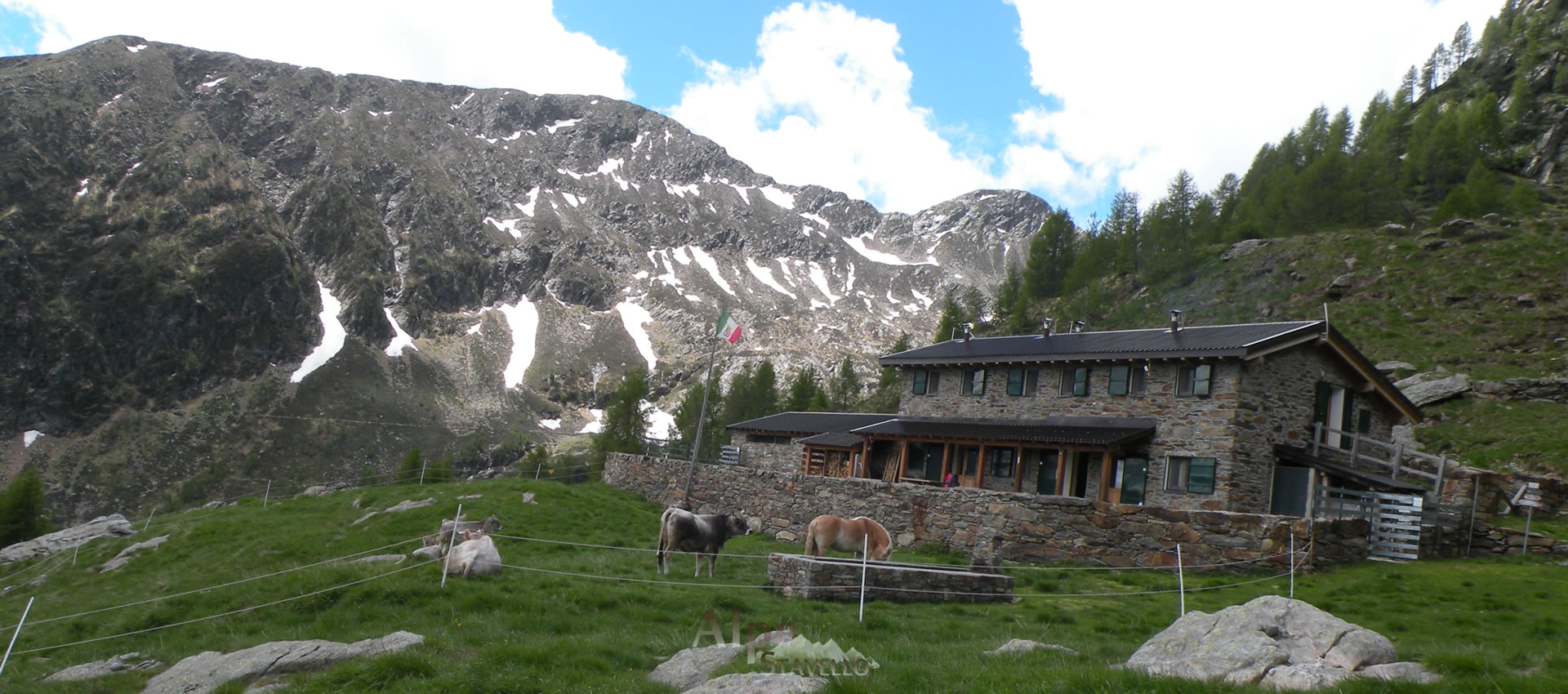 Alpe Stavello - Azienda agricola Alpe Stavello - Rifugio