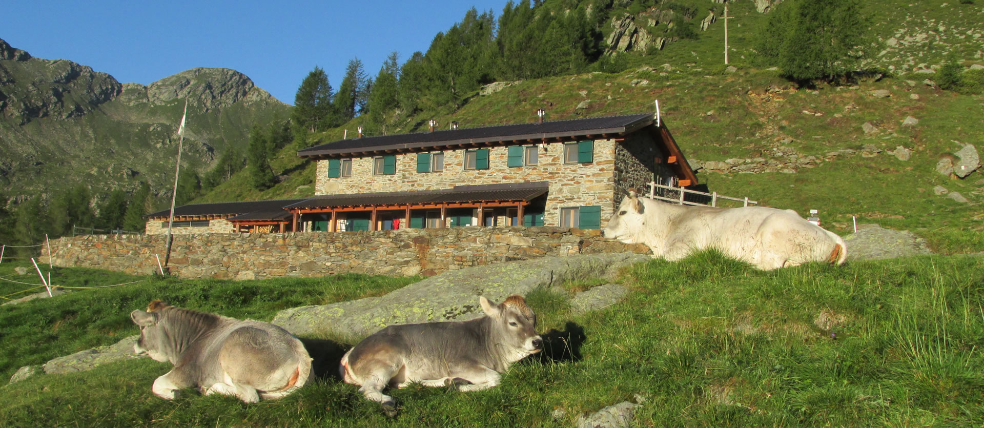 rifugio Alpe Stavello - Azienda agricola Alpe Stavello - Rifugio