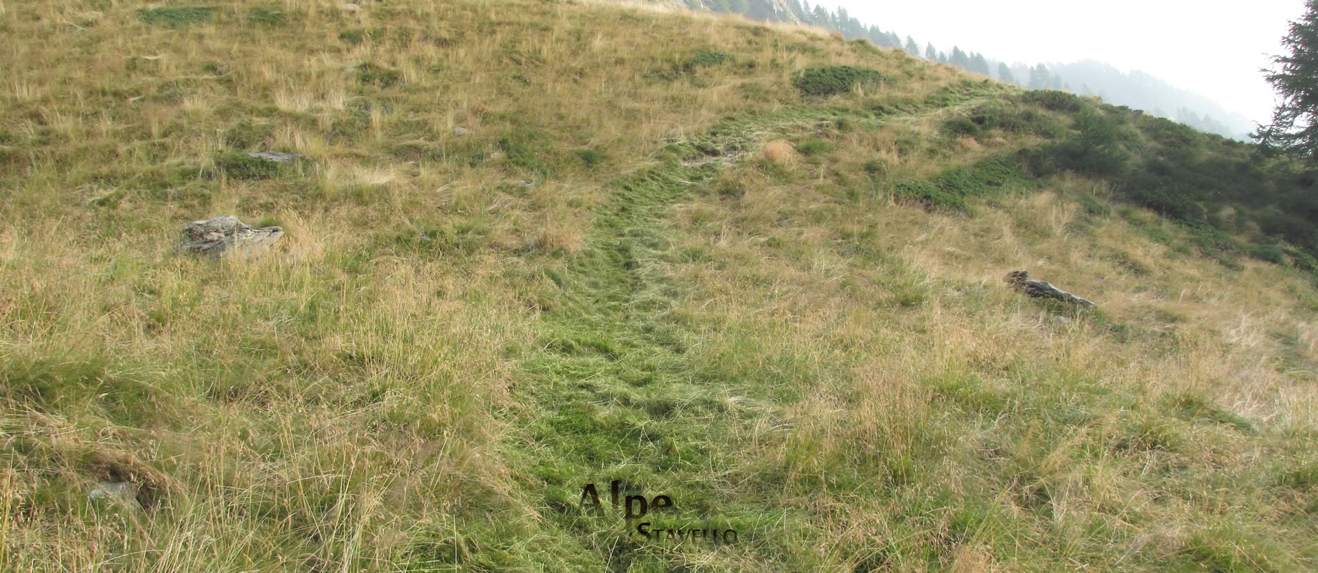 Lavori agricoli in Alpe - Alpe Stavello