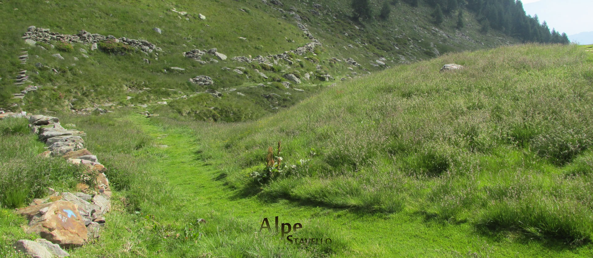 Lavori agricoli in Alpe - Alpe Stavello