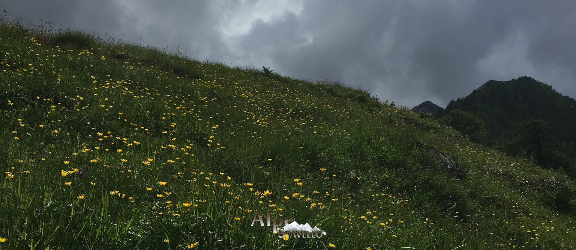 L'alpeggio e il territorio Alpe Stavello - Azienda agricola Alpe Stavello - Rifugio Valgerola