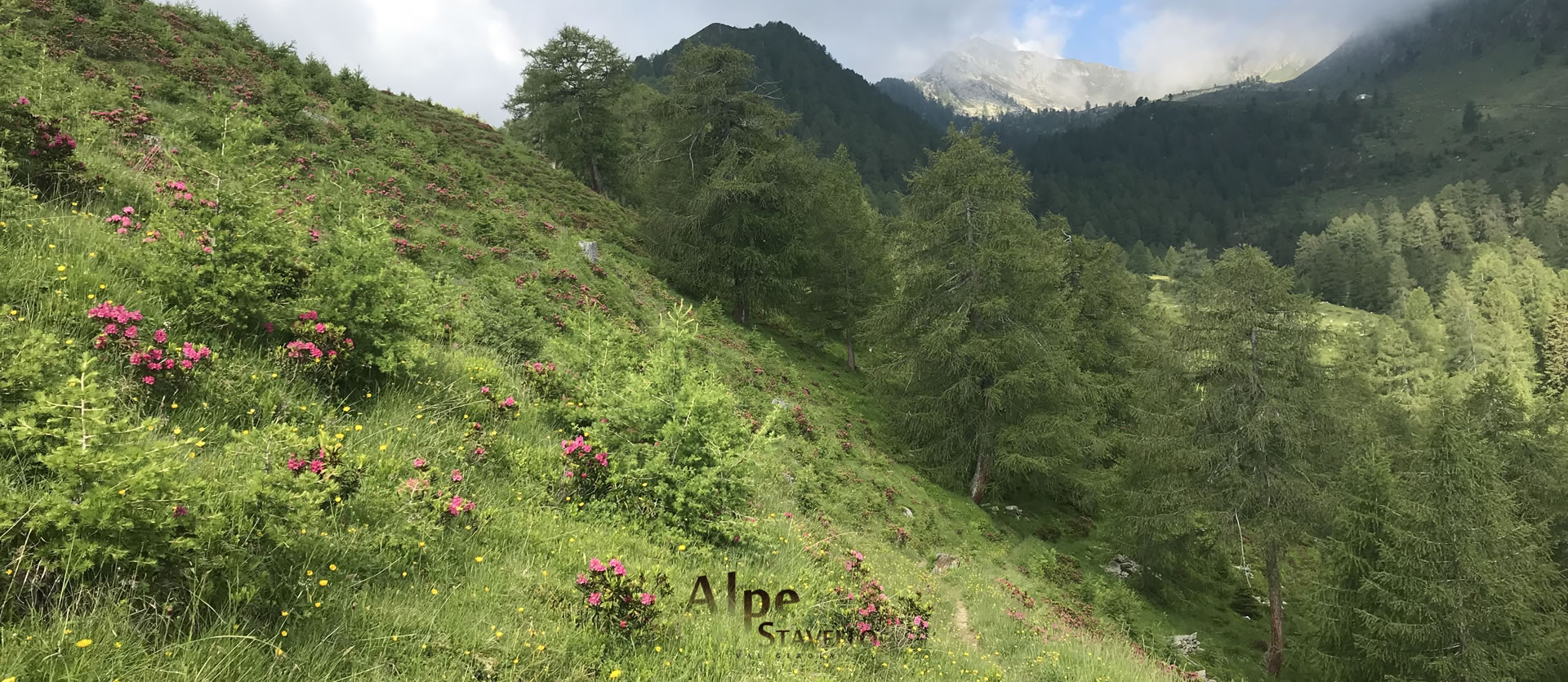 L'alpeggio e il territorio Alpe Stavello - Azienda agricola Alpe Stavello - Rifugio Valgerola