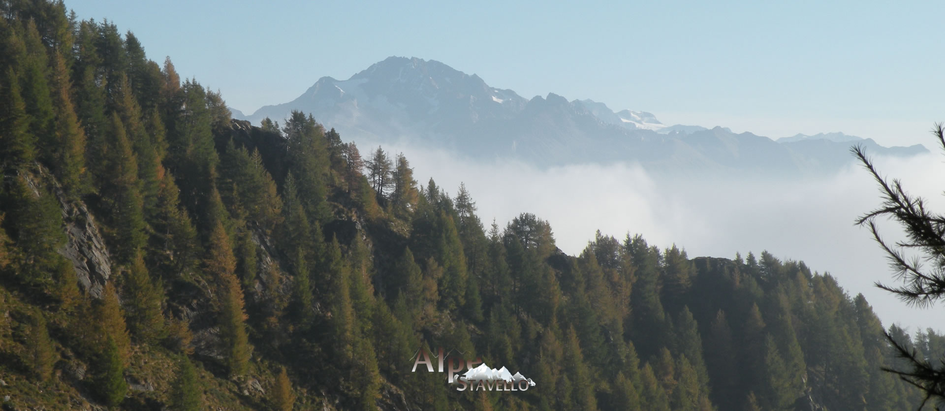 L'alpeggio e il territorio Alpe Stavello - Azienda agricola Alpe Stavello - Rifugio Valgerola