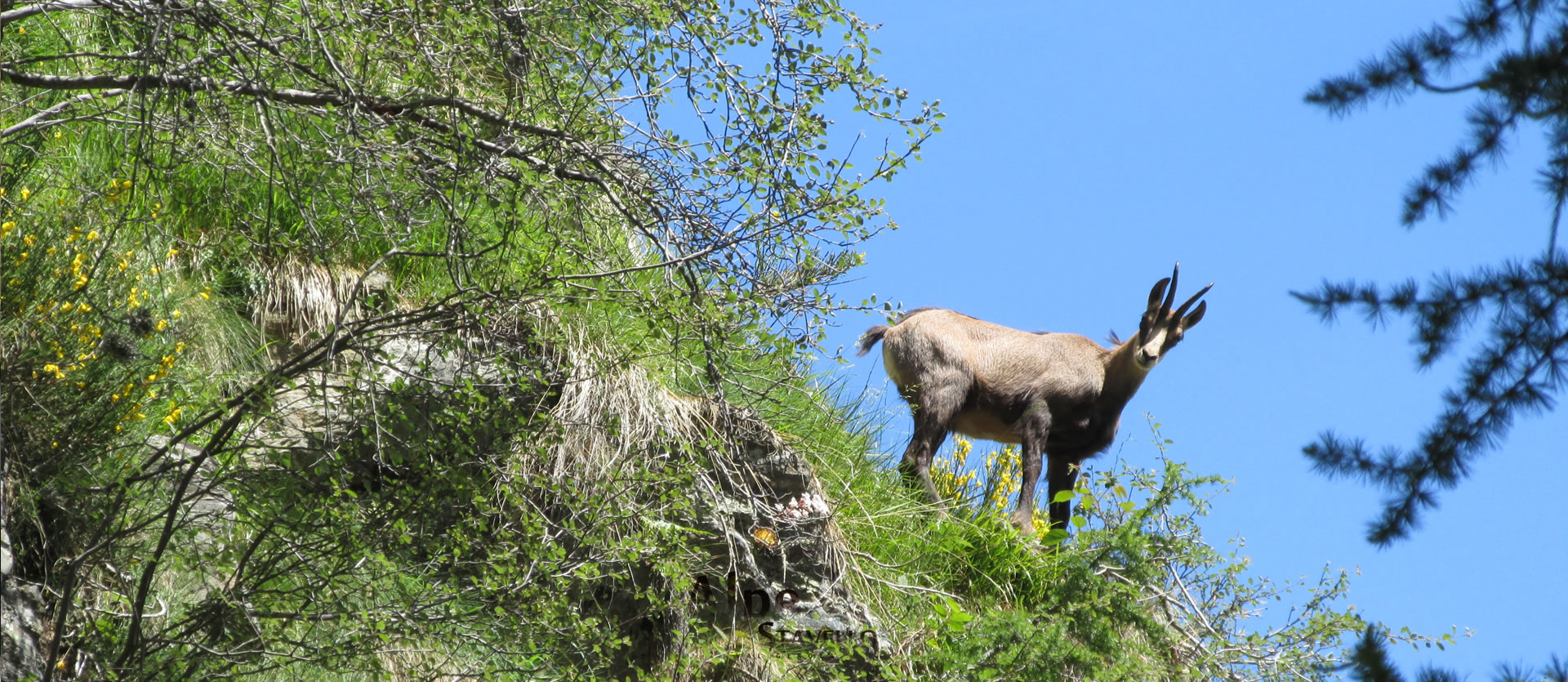 Il Territorio Alpe Stavello - Azienda agricola Alpe Stavello - Rifugio Valgerola