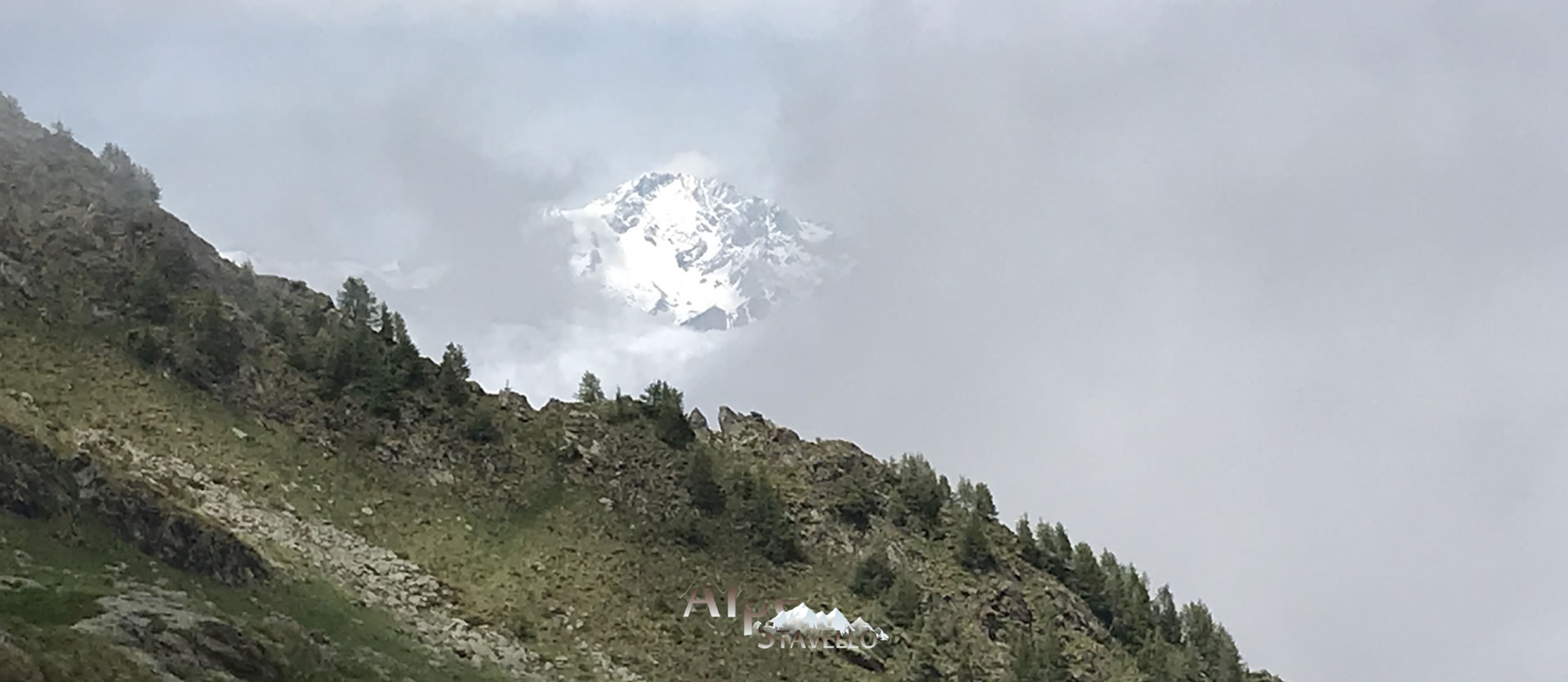 L'alpeggio e il territorio Alpe Stavello - Azienda agricola Alpe Stavello - Rifugio Valgerola