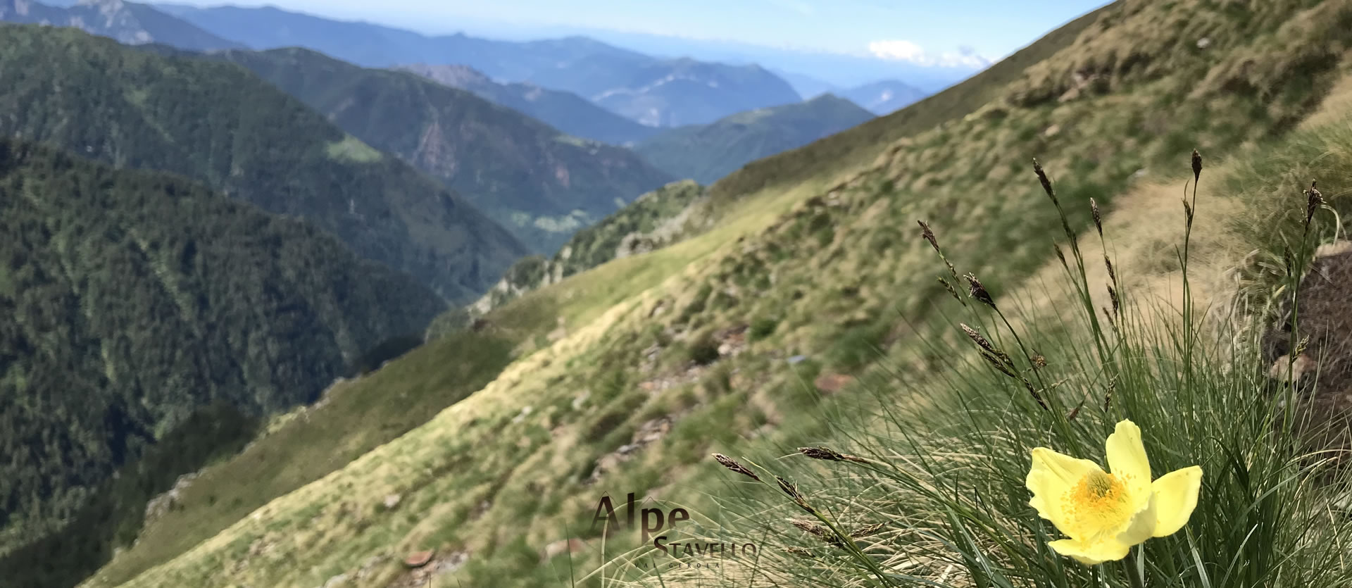 L'alpeggio e il territorio Alpe Stavello - Azienda agricola Alpe Stavello - Rifugio Valgerola